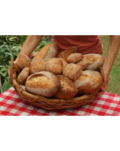 AM Improver Super Crusty 15Kg MB