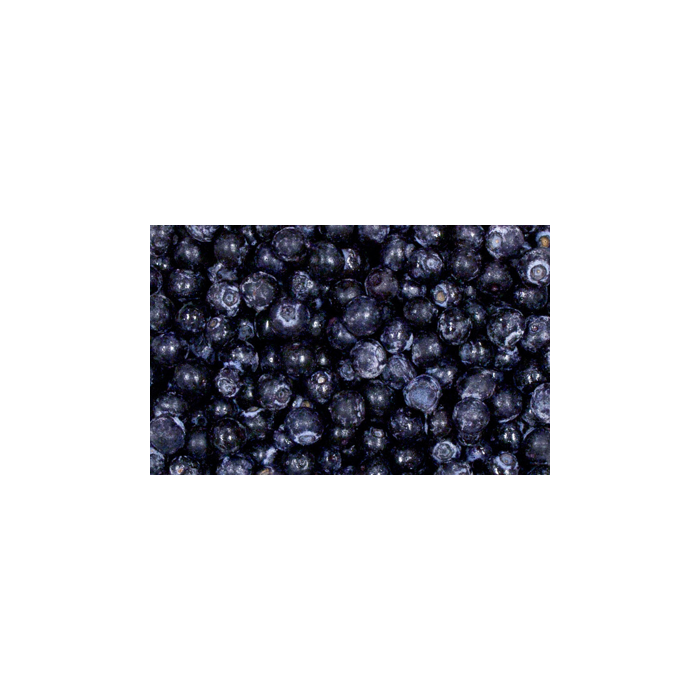 IQF Blueberries Frozen USA Large 13.61Kg